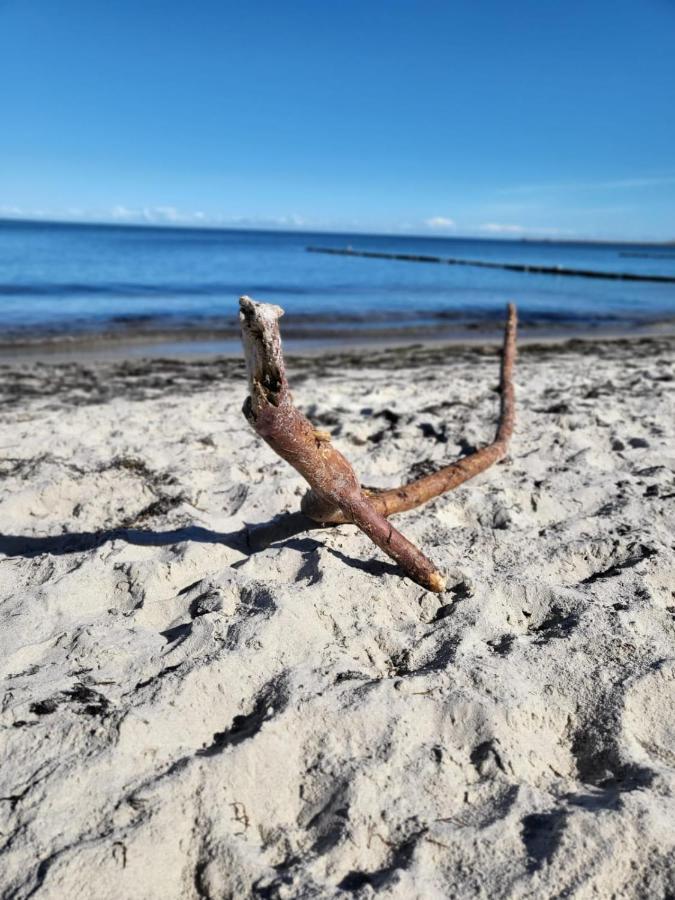 Strandhaus Wittower Heide Glowe Dış mekan fotoğraf